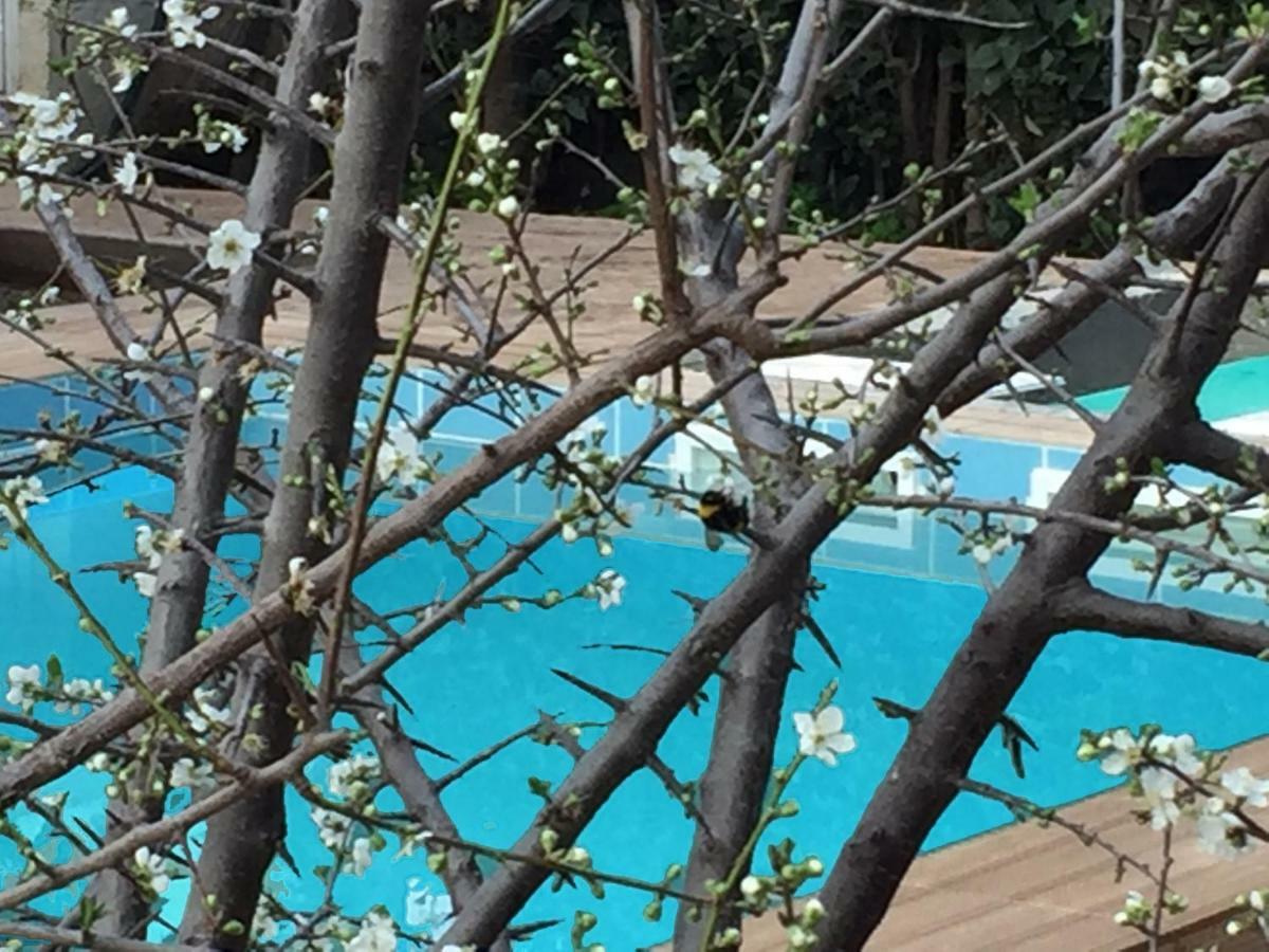 Sunny Rhodes Villa Koskinou  Eksteriør billede