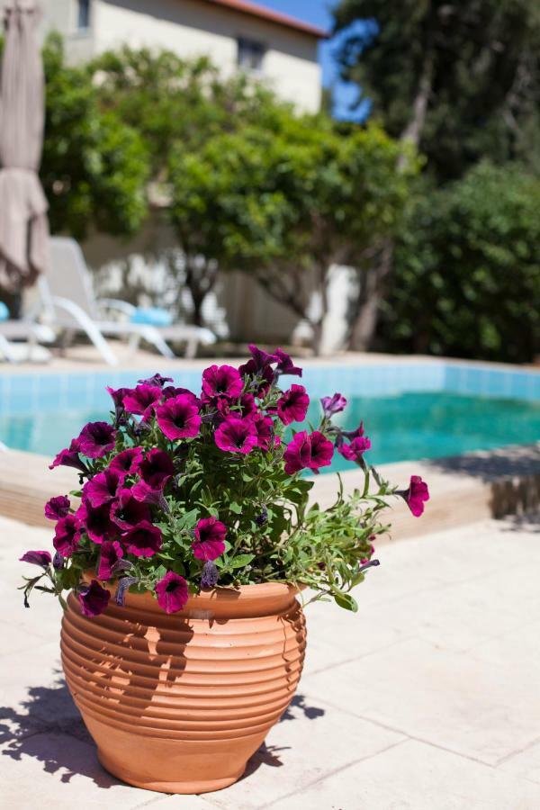 Sunny Rhodes Villa Koskinou  Eksteriør billede